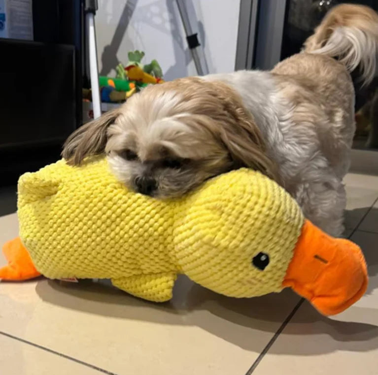 QuackCalm™ – Anatra Calmante per Cani