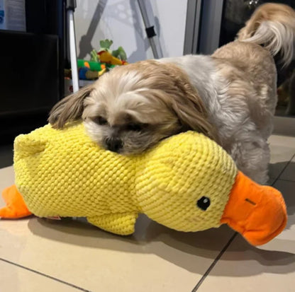 QuackCalm™ – Anatra Calmante per Cani